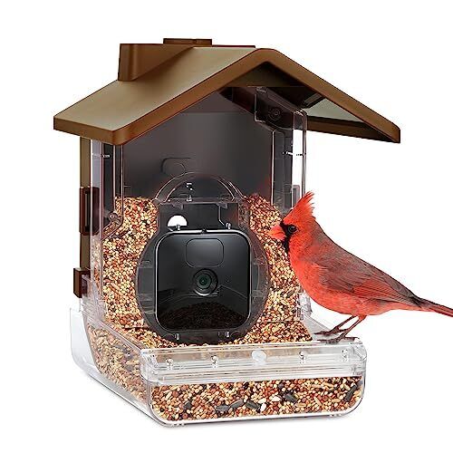 Wasserstein Bird Feeder Smart Camera Case Compatible with Ring, Blink & Wyze Cam