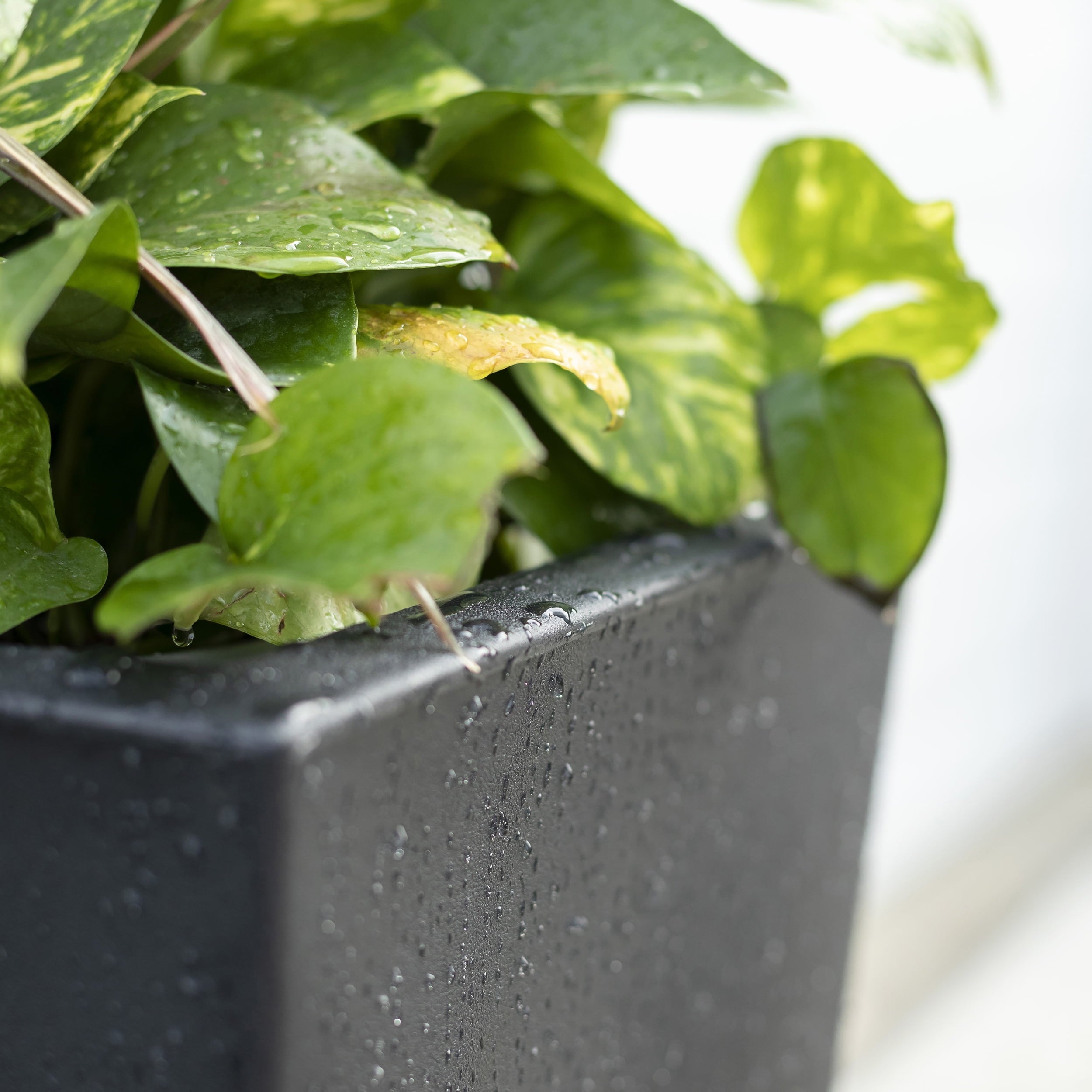 Step2 Tremont 2pk Plastic Black Square Planter 15