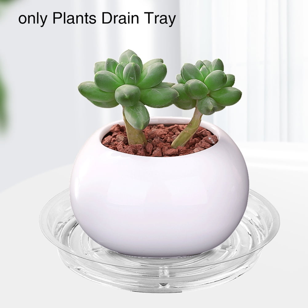 Anvazise 10 Set Planter Tray Leak-proof Reusable BPA Free Promote Growth Plant Pot Saucer Gardening Tools 8Inch