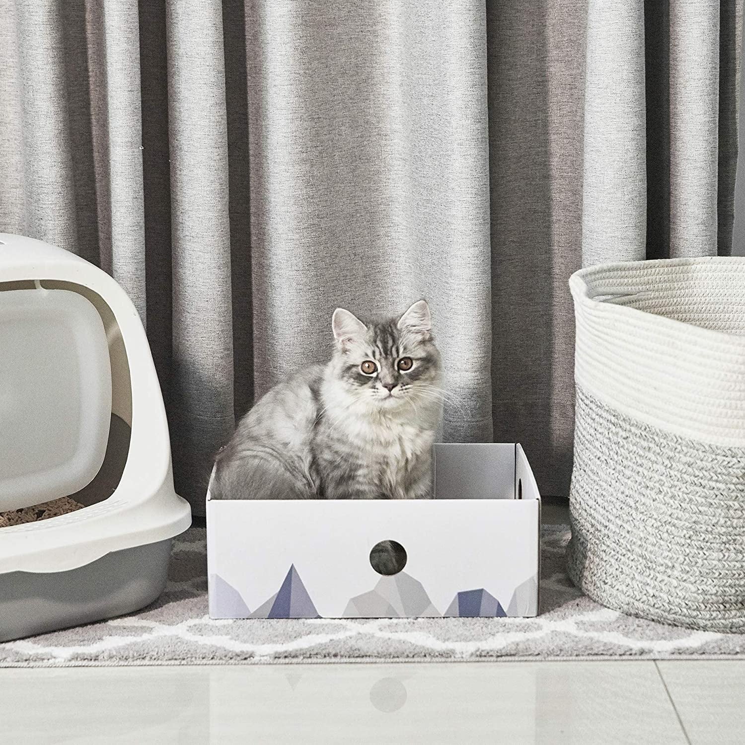 Conlun Cat Scratcher Cardboards with Box, 5-Pack Replacement Reversible Cat Scratcher Pad, Medium