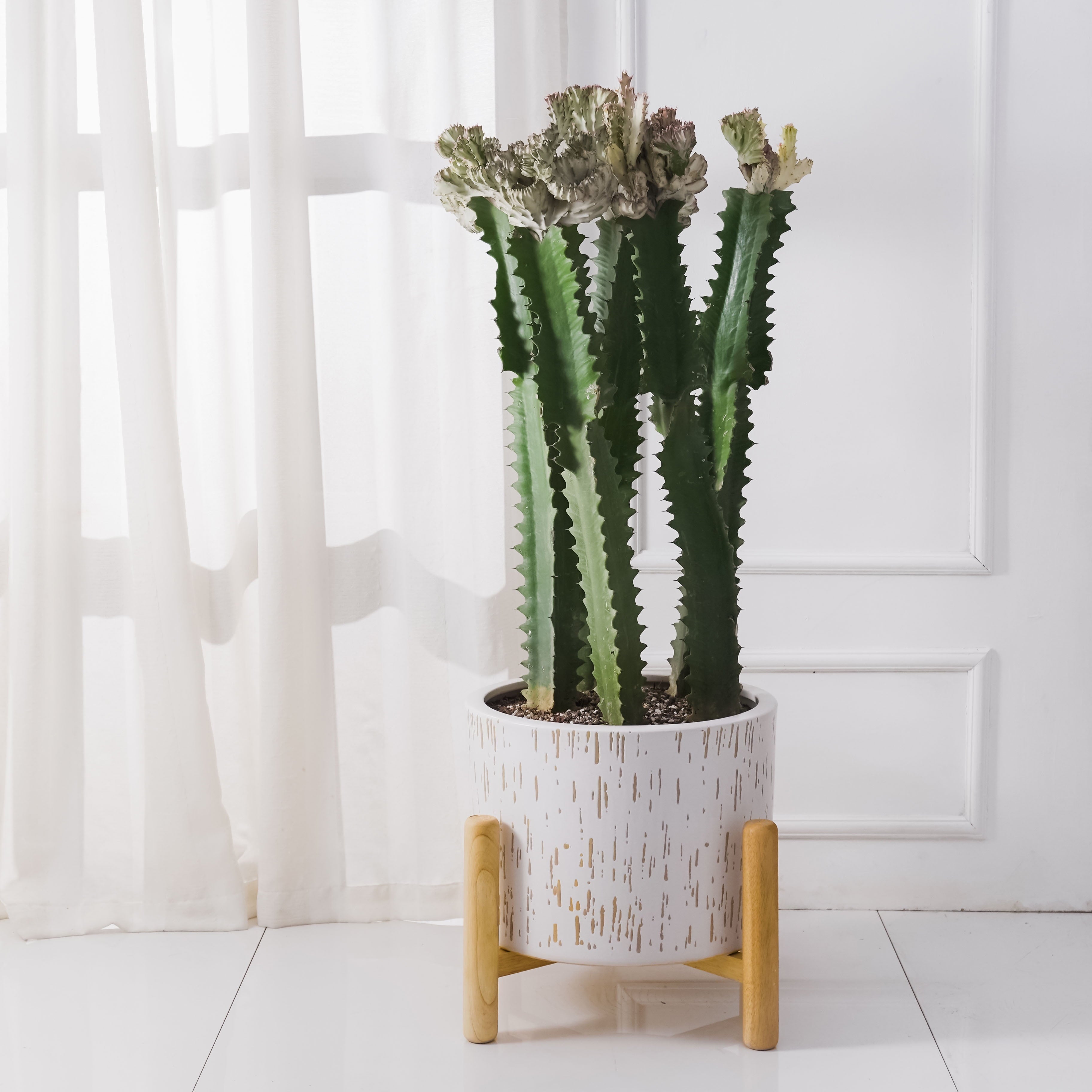 Better Homes & Gardens Ceramic Round Ceramic and Wood Planter & Stand Set