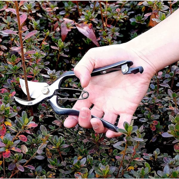 8 in. Heavy-Duty Garden Hand Pruners