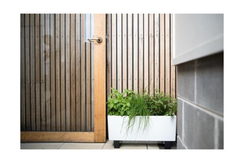 Glowpear Self-Watering Mini Bench Planter - 23.6" in Pot, UV Stable, Scalable...