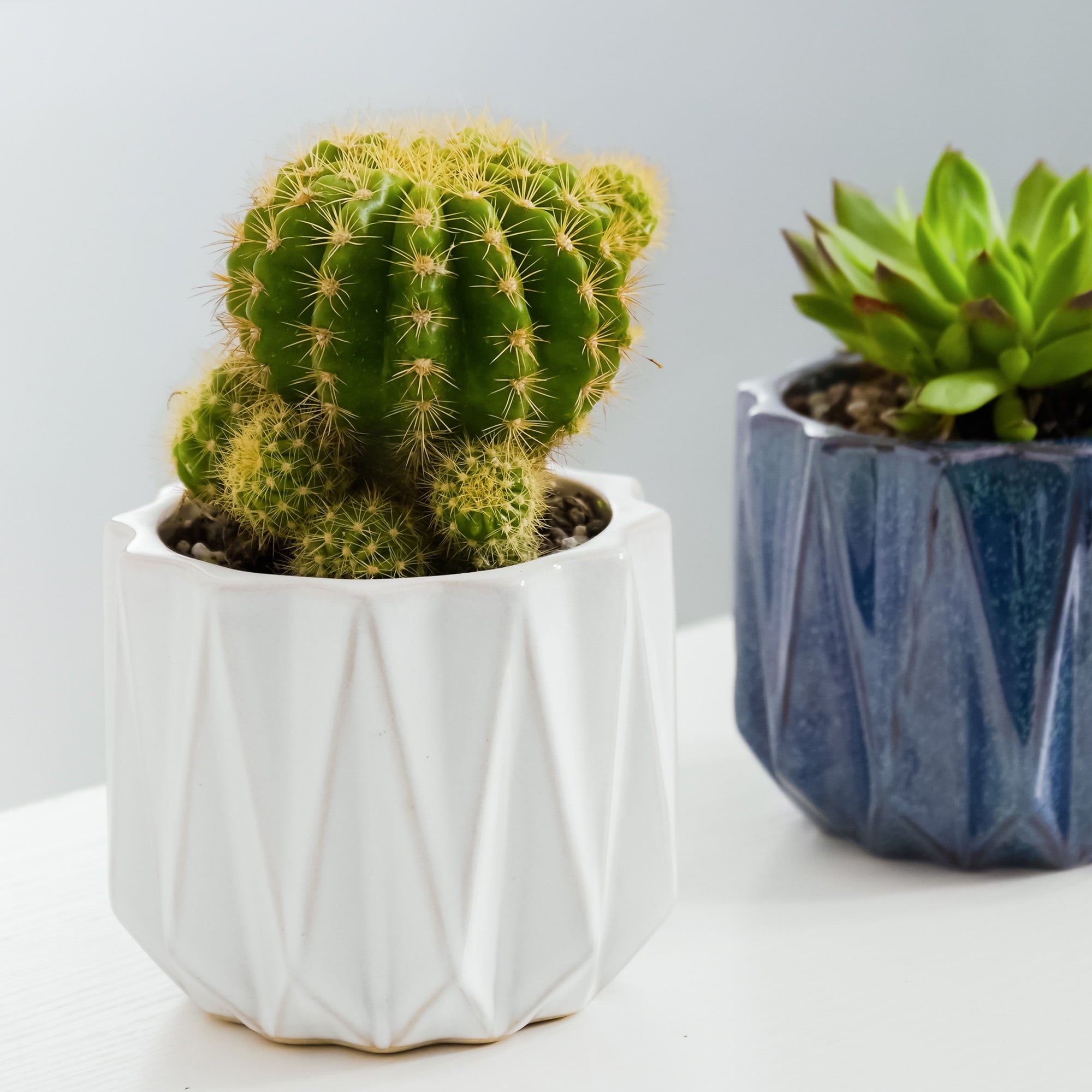 Better Homes & Gardens Pottery 5