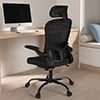 Lioncin Office Chair, High Back Ergonomic Desk Chair, Breathable Mesh Desk Chair with Adjustable Lumbar Support and Headrest, Swivel Task Chair with Flip-up Armrests,Black