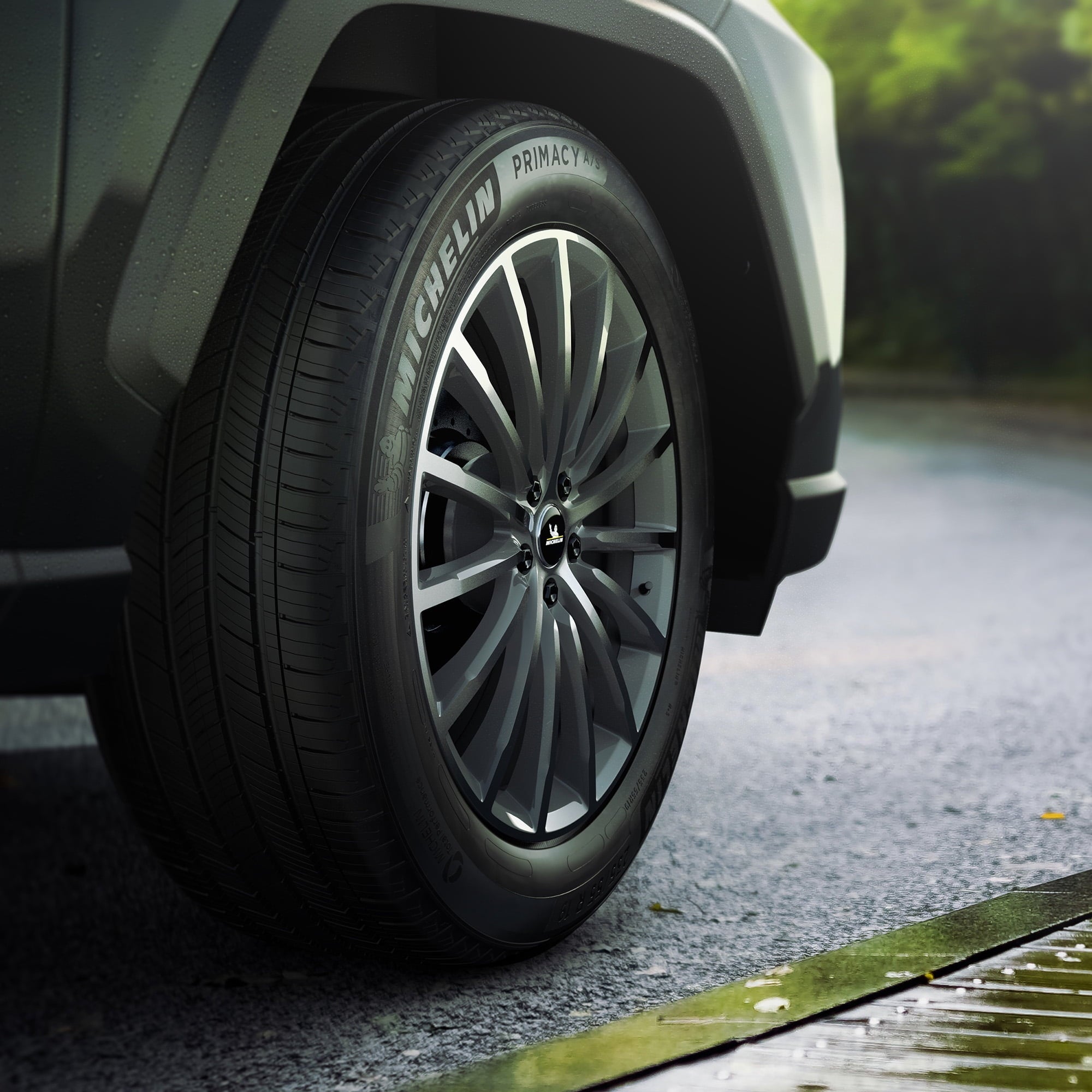 Primacy All-Season 225/65R17 102H Tire