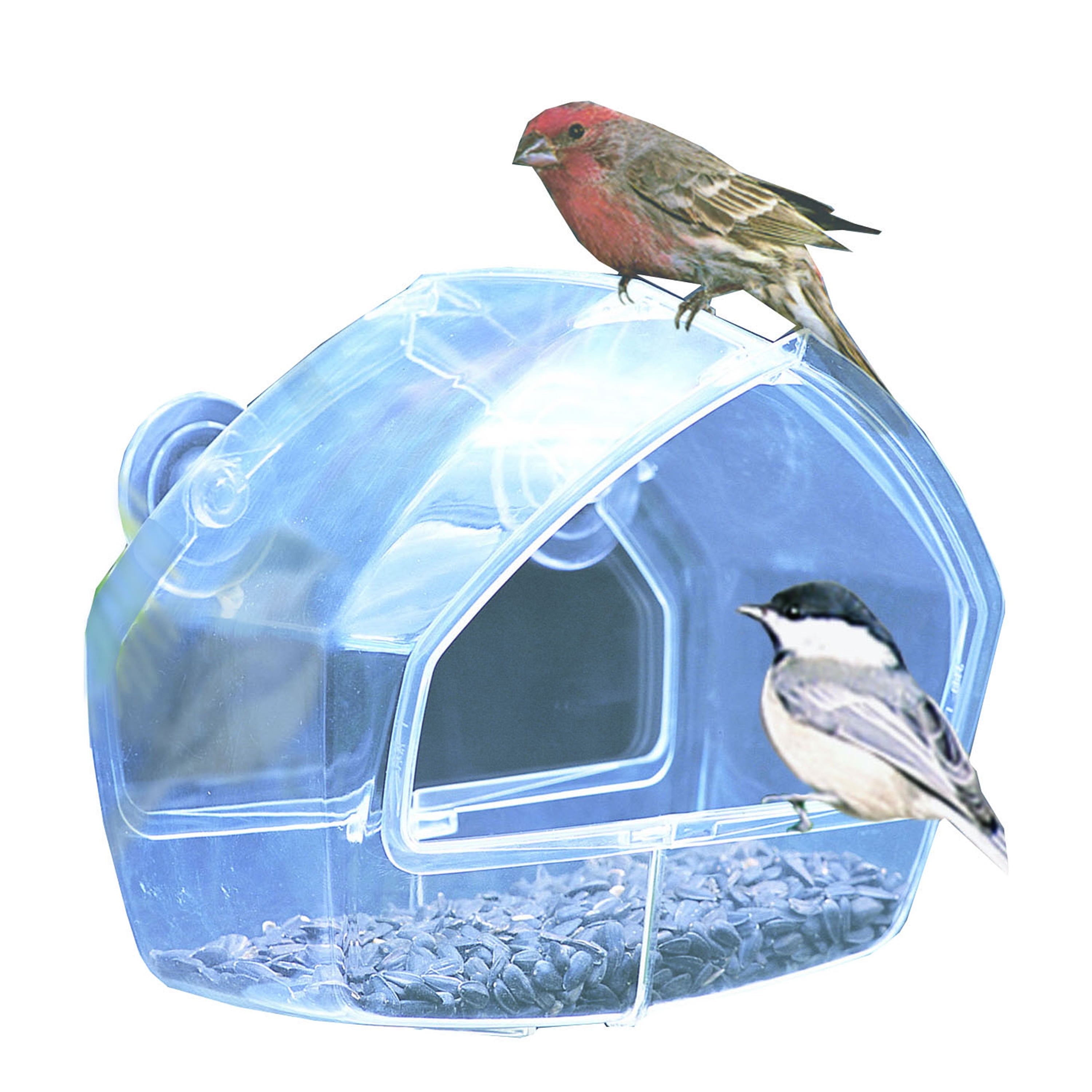 Perky-Pet Clear Window Feeder