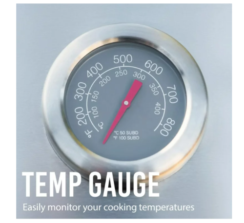 NEW Expert Grill 5 Burner Propane Gas Grill with Side Burner