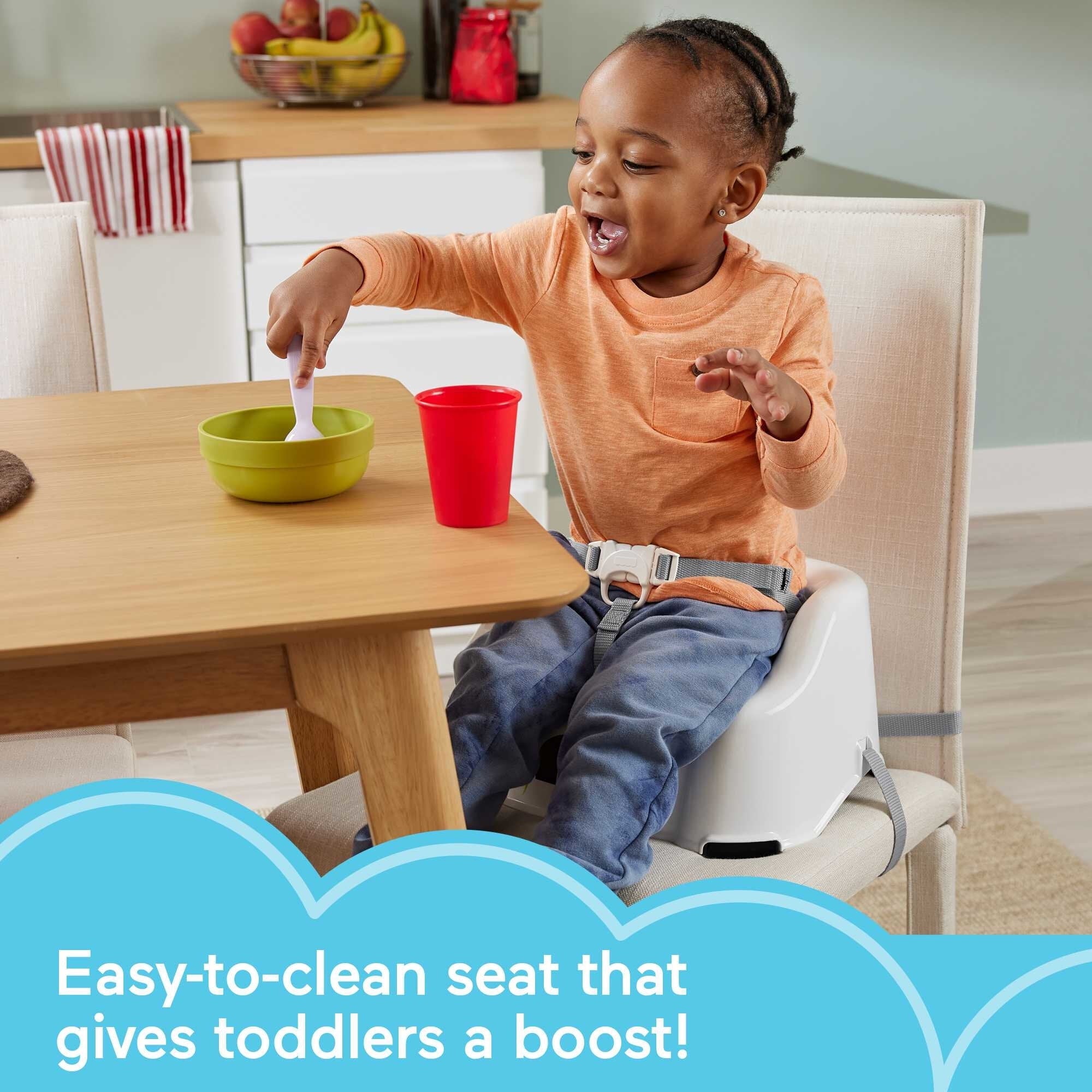Fisher-Price Simple Clean & Comfort Booster Portable Toddler Dining Seat, Panda