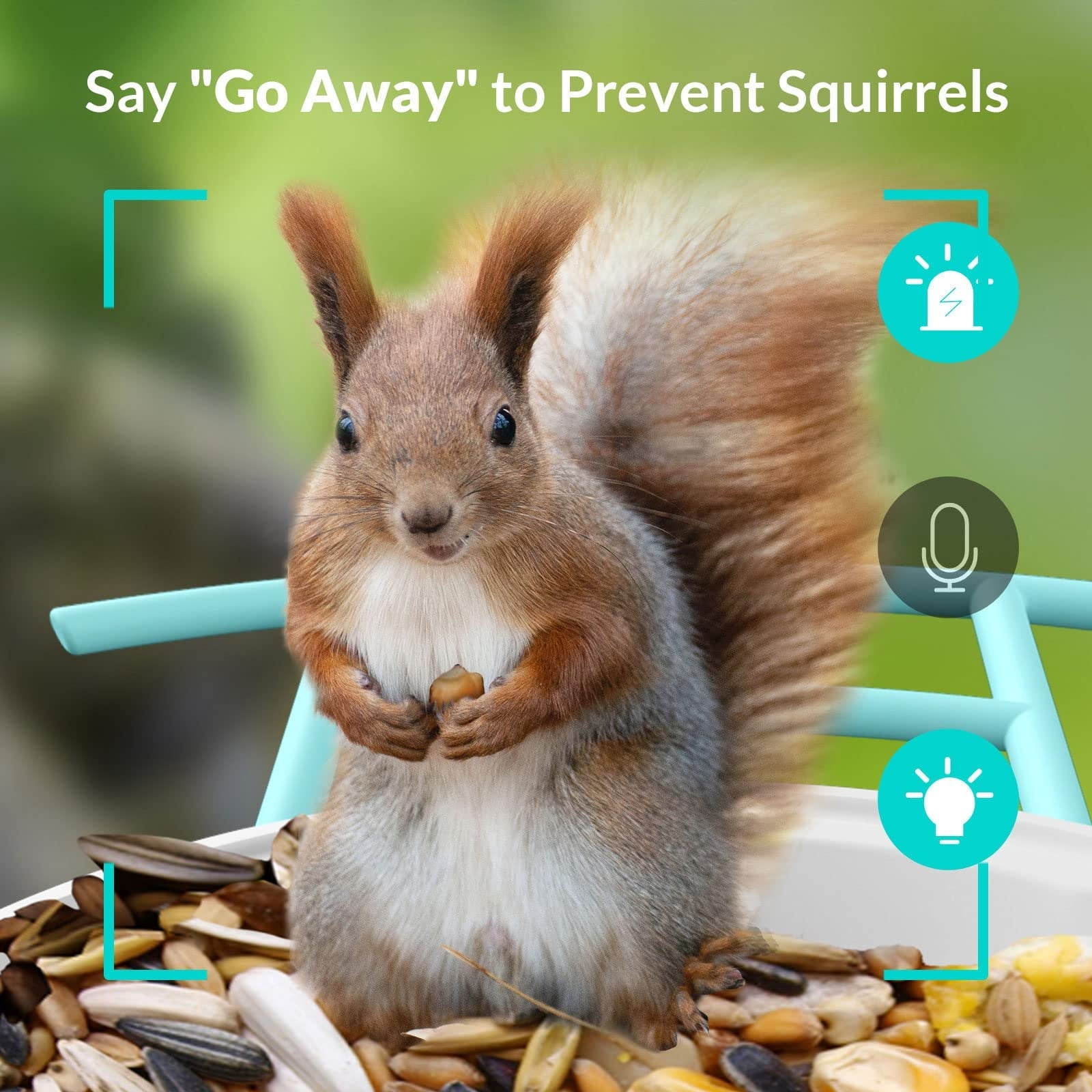 Bird Feeder with Camera, Netvue Birdfy Smart Bird Watching Camera with Solar Panel, Blue(Lite+Solar)