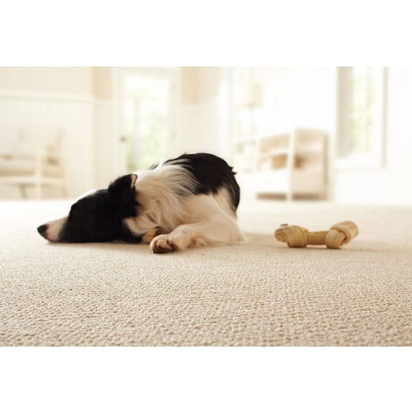 6 ft. x 30 ft. Waterproof 5/16 in. Thickness Carpet Cushion/Area Dual Surface Non-Slip Rug Pad