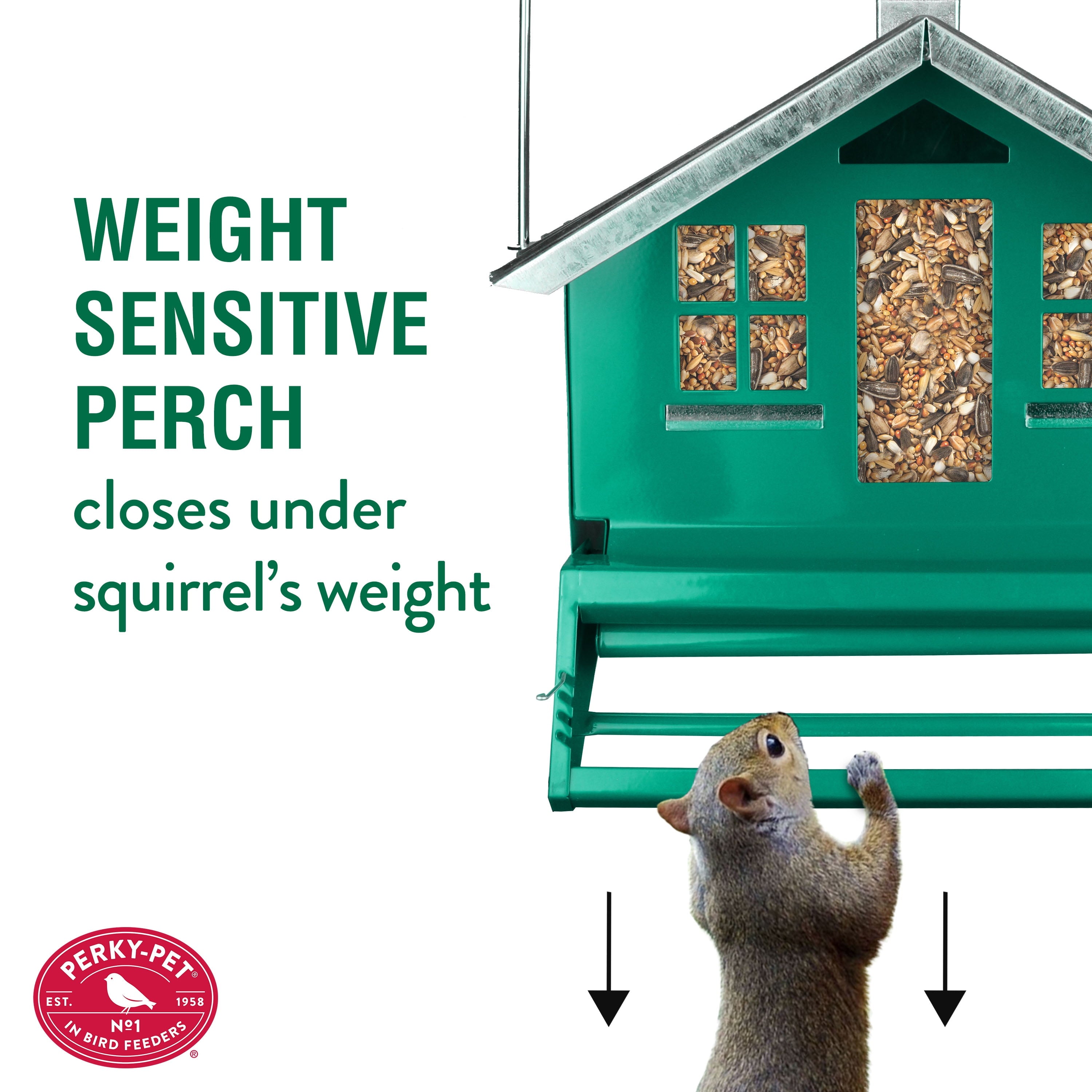 Perky Pet Squirrel Be Gone II Home Style Wild Bird Feeder, 8 lb, Green