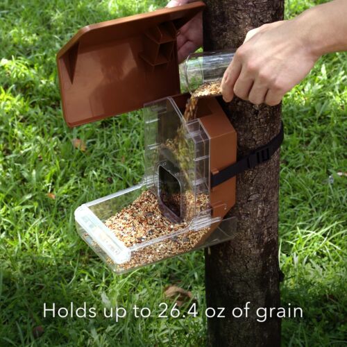 Wasserstein Bird Feeder Smart Camera Case Compatible with Ring, Blink & Wyze Cam