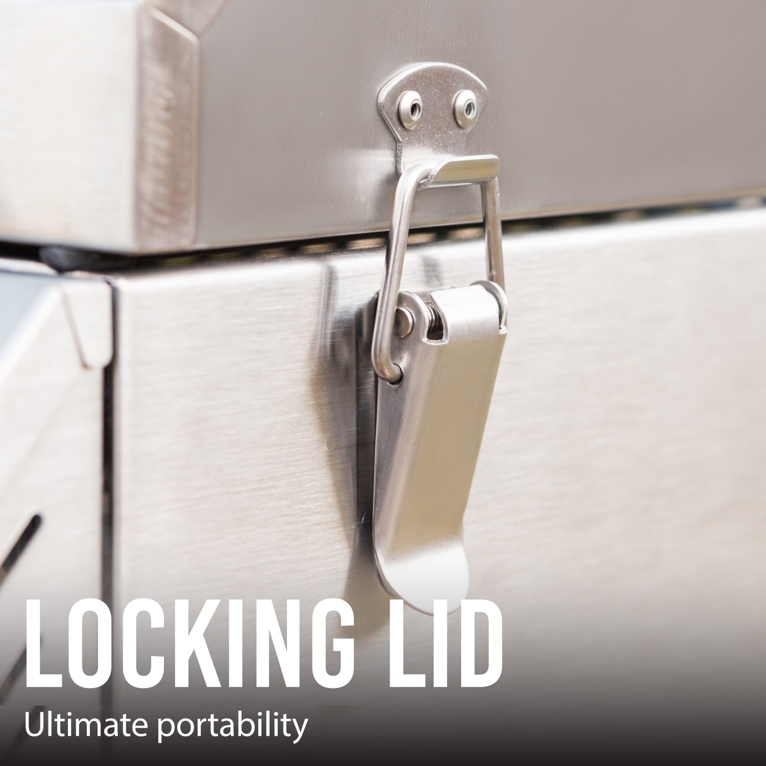 Expert Grill 2 Burner Tabletop Propane Gas Grill, Stainless Steel