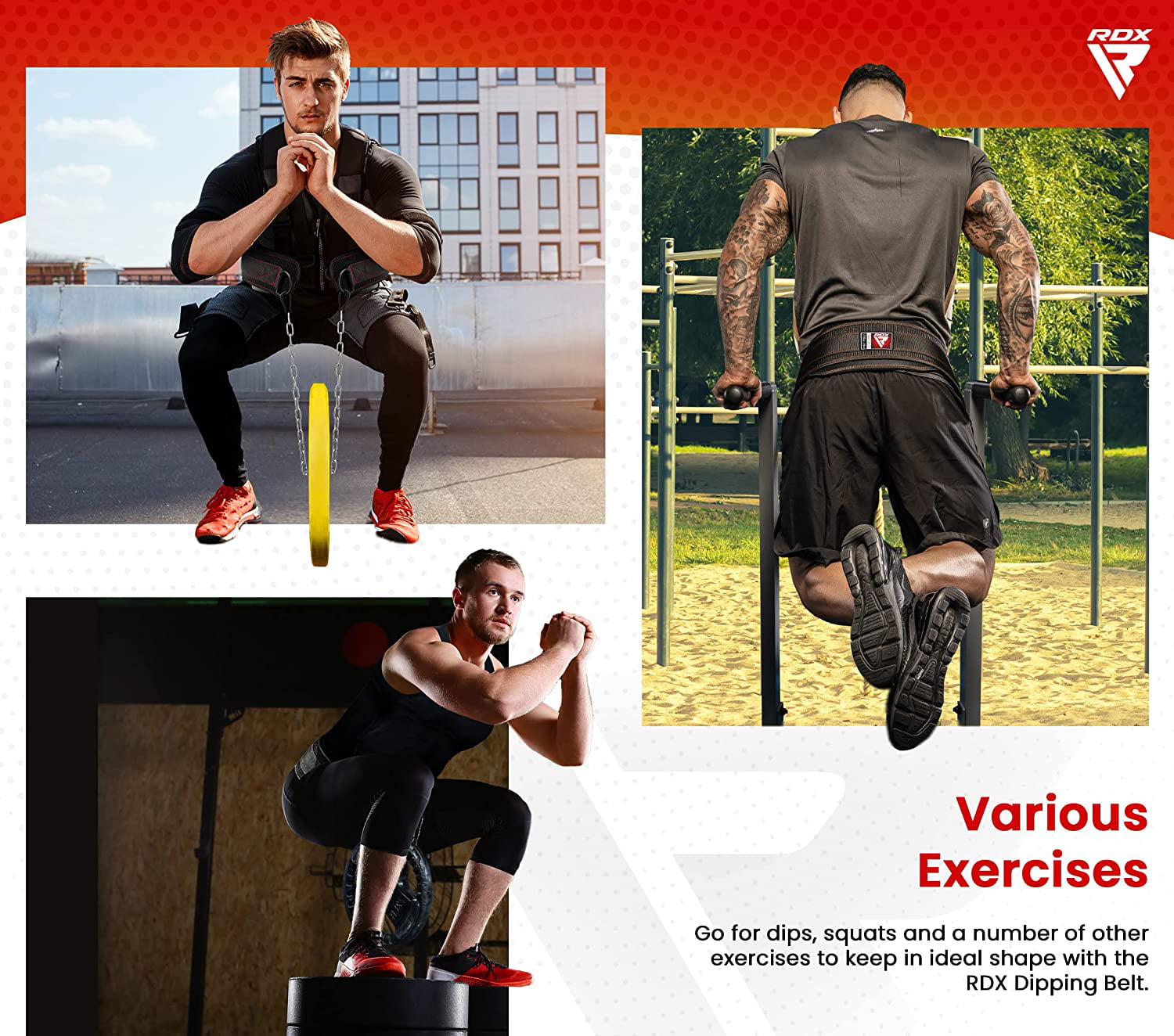 RDX Dipping Belt for Weight Lifting with Adjustable Steel Chain- Great for Chin Pull Ups, Weighted Parallel Dips, Platform Squats, Calf Raises, 6” Back Support for Powerlifting, Strength Training