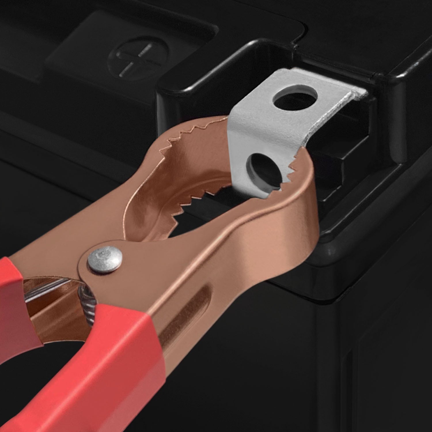 YTX14L-BS Replaces Snowmobile Mower PWC Watercraft + 12V 2Amp Charger