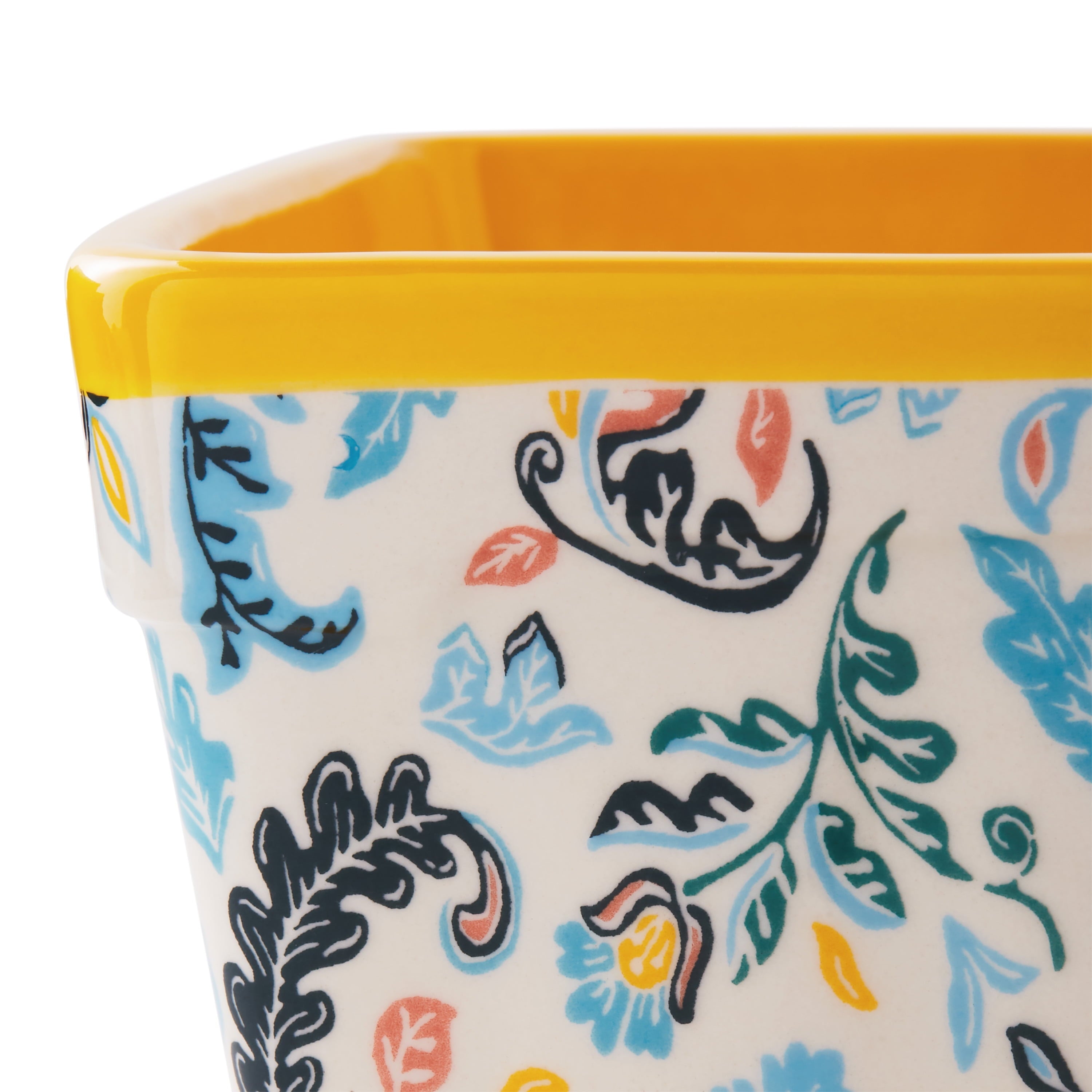 The Pioneer Woman Mazie Toss 6