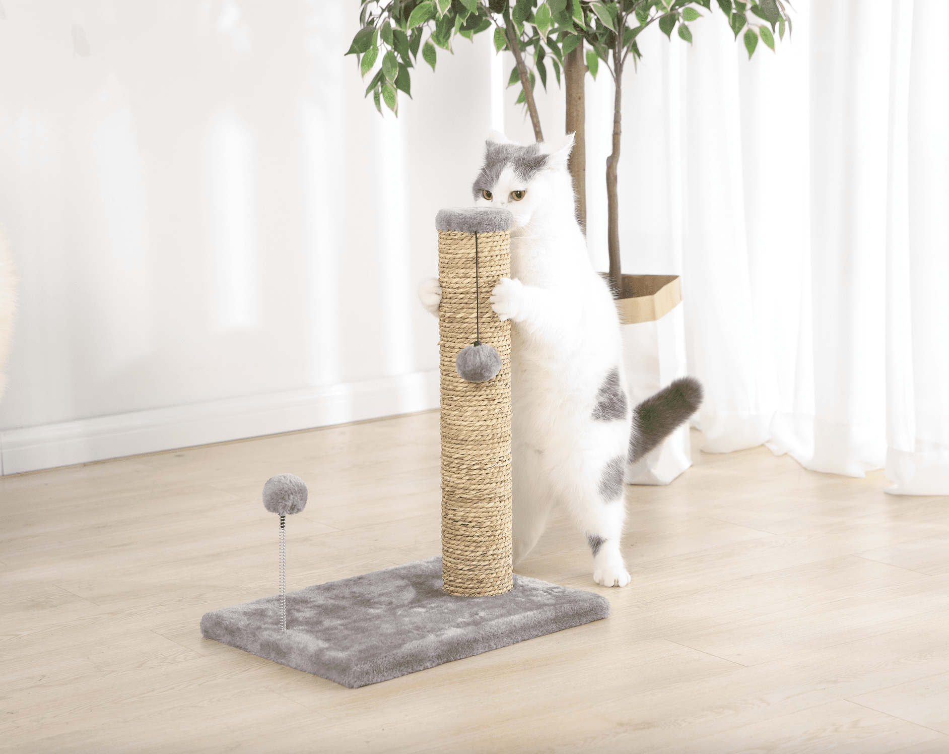 Vibrant Life Small Seagrass Scratch and Play Post, Gray, 20