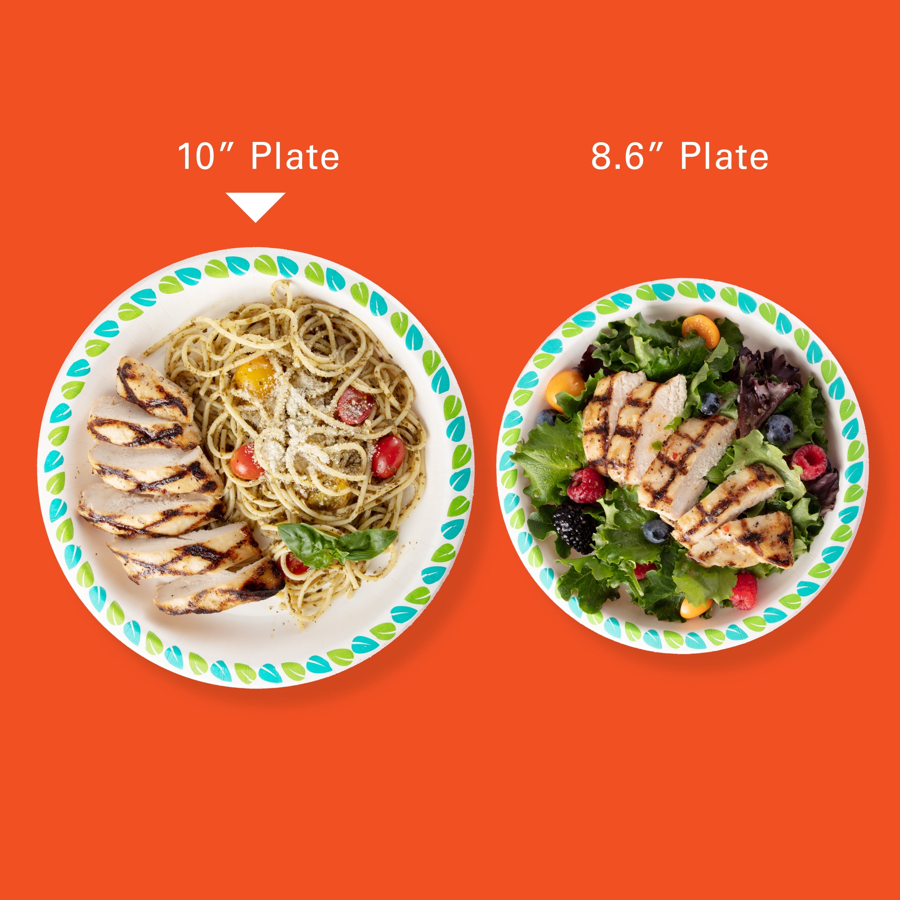 Hefty Compostable Printed Paper Plates, 10 Inch, 20 Count