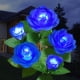 Outdoor Solar Garden Lights with 5 Rose Flowers, Decorative LED Landscape Lights, Solar Flower Lights for Patio Yard (Blue)