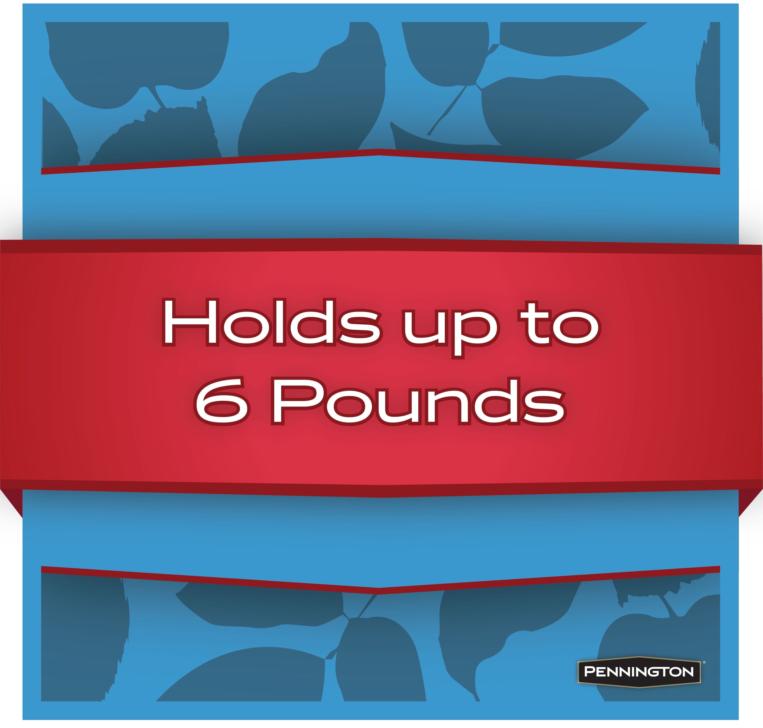 Pennington Black Plastic Hopper Cardinal Wild Bird Feeder, 6 lb. Capacity