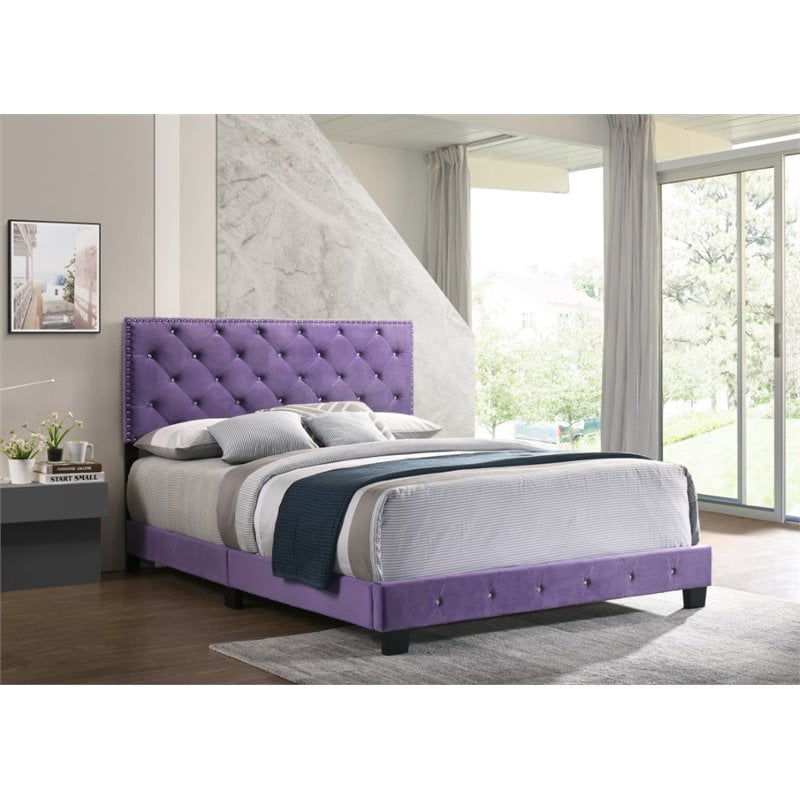 Maklaine Contemporary Velvet Upholstered Queen Bed in Purple