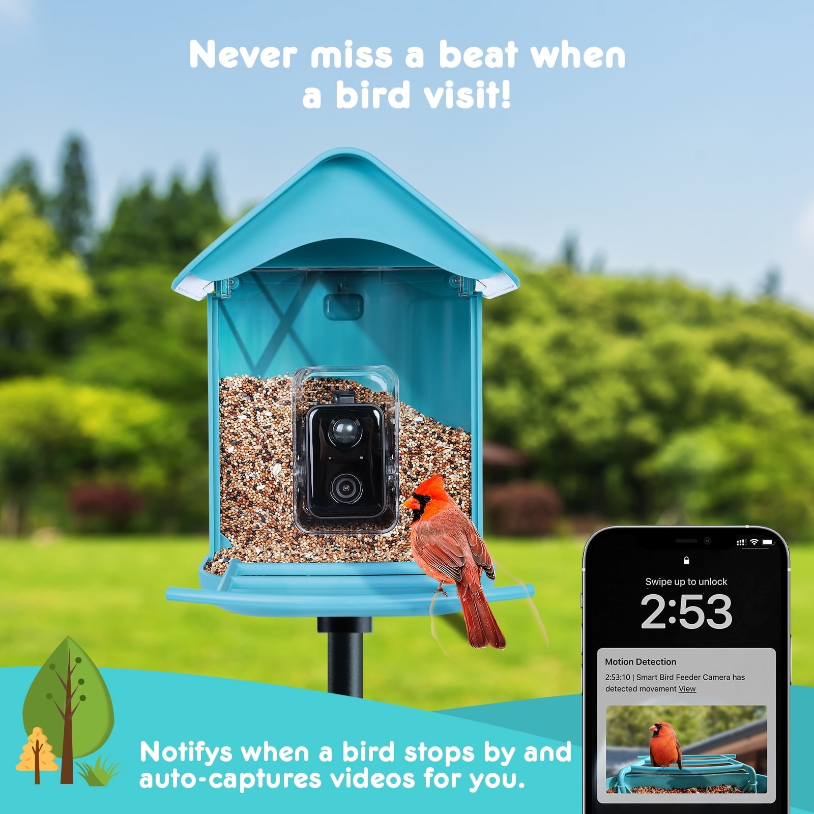 Cuckoo Smart Bird Feeder with Camera, Bird Camera with 1080P HD Video, APP Real-Time Notifications, AI Identify Bird, WiFi Connection & Solar Panel