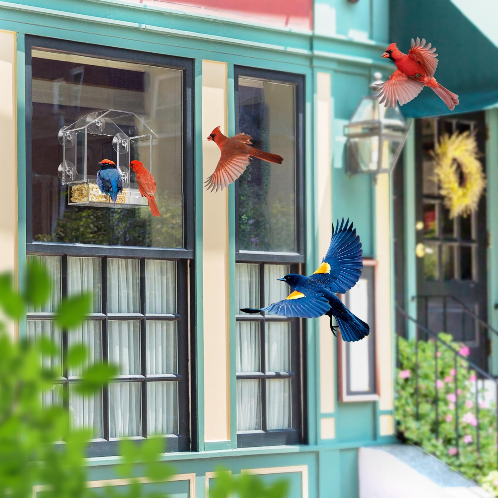 NIUBEE Window Hummingbird Feeder with 5 Strong Suction Cups, Clear Acrylic Bird Feeder for Outside- Slide Removable Tray, Bird Feeders Window Mount for Cat, Kid, Elderly Viewing Cardinal, Wild Birds