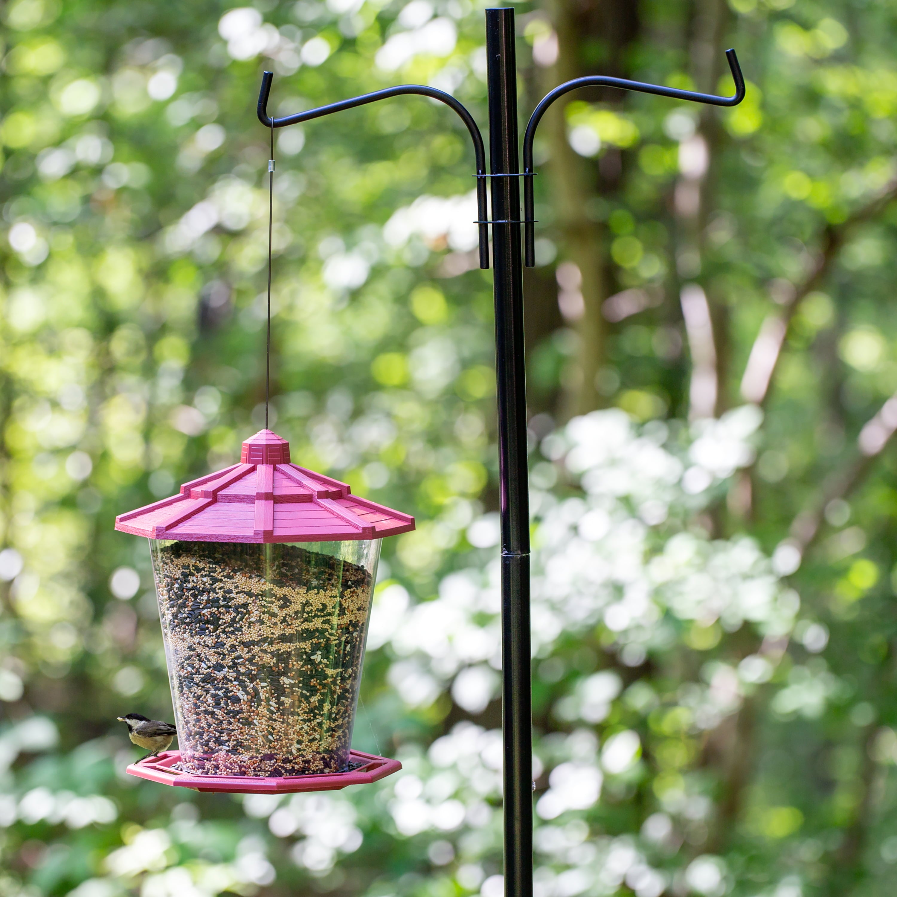 Pennington Red Resin Grand Ecozebo Wild Bird Feeder, 10 lb. Capacity, 1 Pack