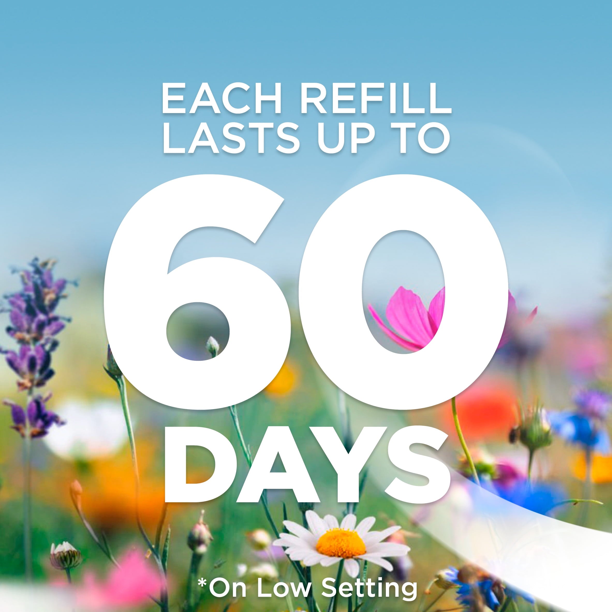 Air Wick Plug in Scented Oil Refill, 5 ct, Hawaii, Air Freshener, Essential Oils