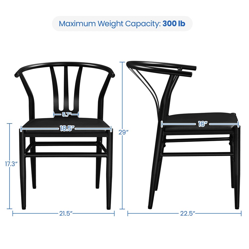SMILE MART Dining Chair, Set of 2, Black