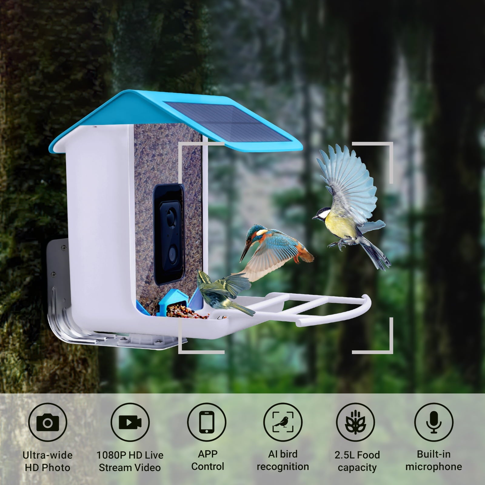 Bird Feeder with Camera,YBLOC Bird House,AI Smart Bird Feeder,Camera 1080P HD Video,AI Identify Bird,Wifi ,Blue