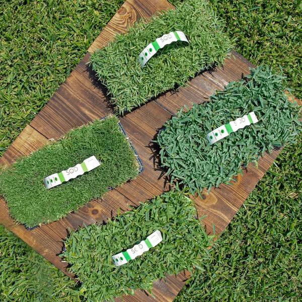 Multi Variety Grass Plug Pack (32-Count) Natural, Affordable Lawn Improvement