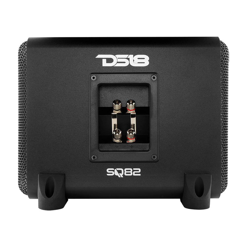 DS18 8 Subwoofer 1200W DVC 4 Ohm w/ 8 Passive Sub in Aluminum Enclosure