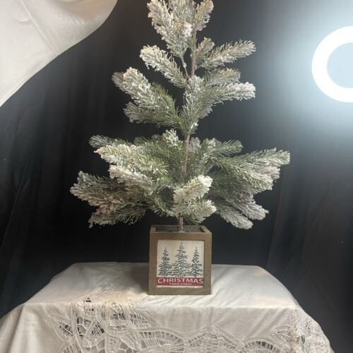 Christmas Flocked Xmas Tree 24 Inches Tall With Box Stand