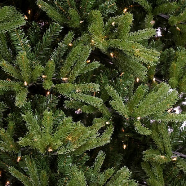 12' Feel Real Jersey Fraser Fir Hinged PreLit Artificial Christmas Tree with 2000 Clear Lights