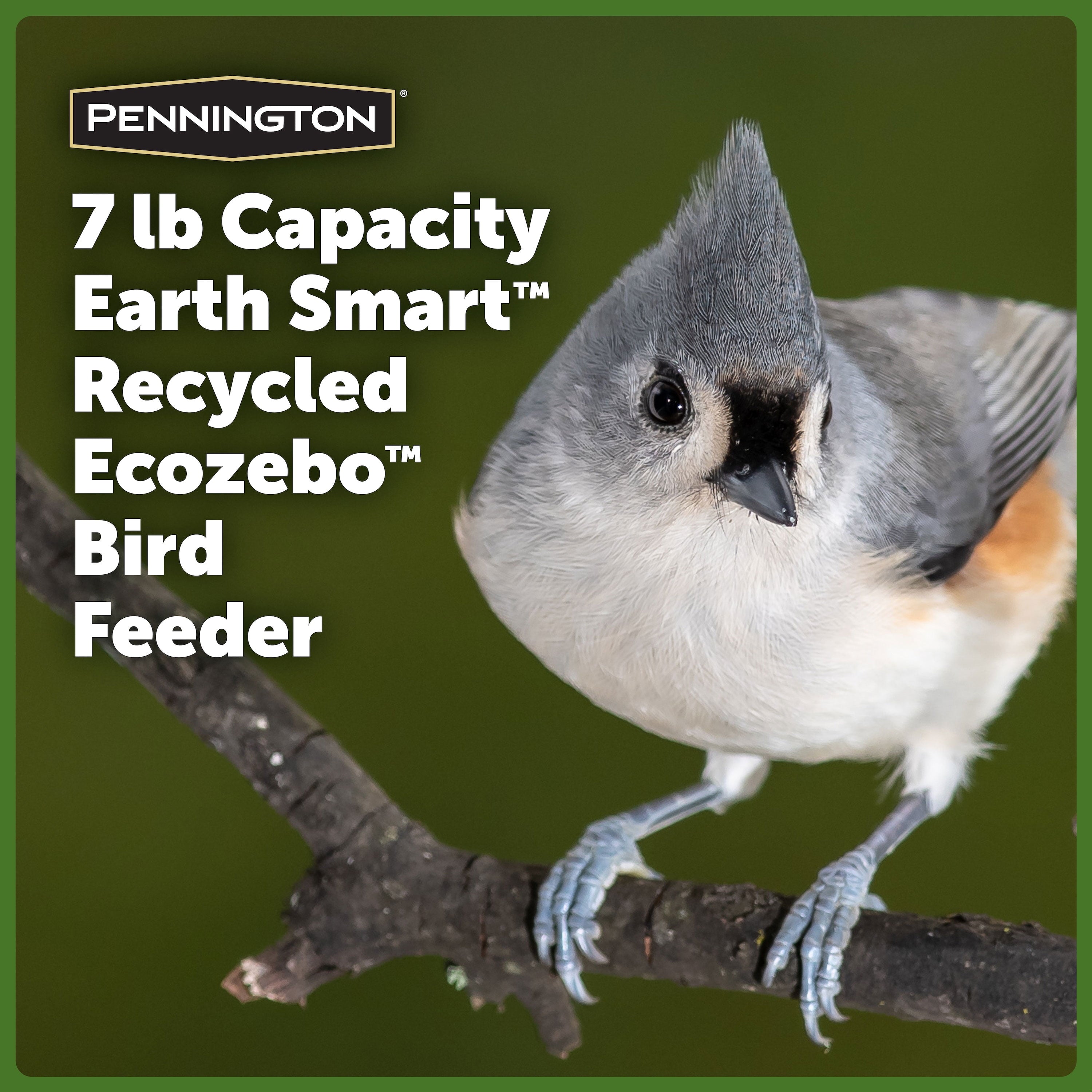 Pennington Red Resin Ecozebo Wild Bird Hopper Feeder, 7 lb. Capacity, 2 Pack