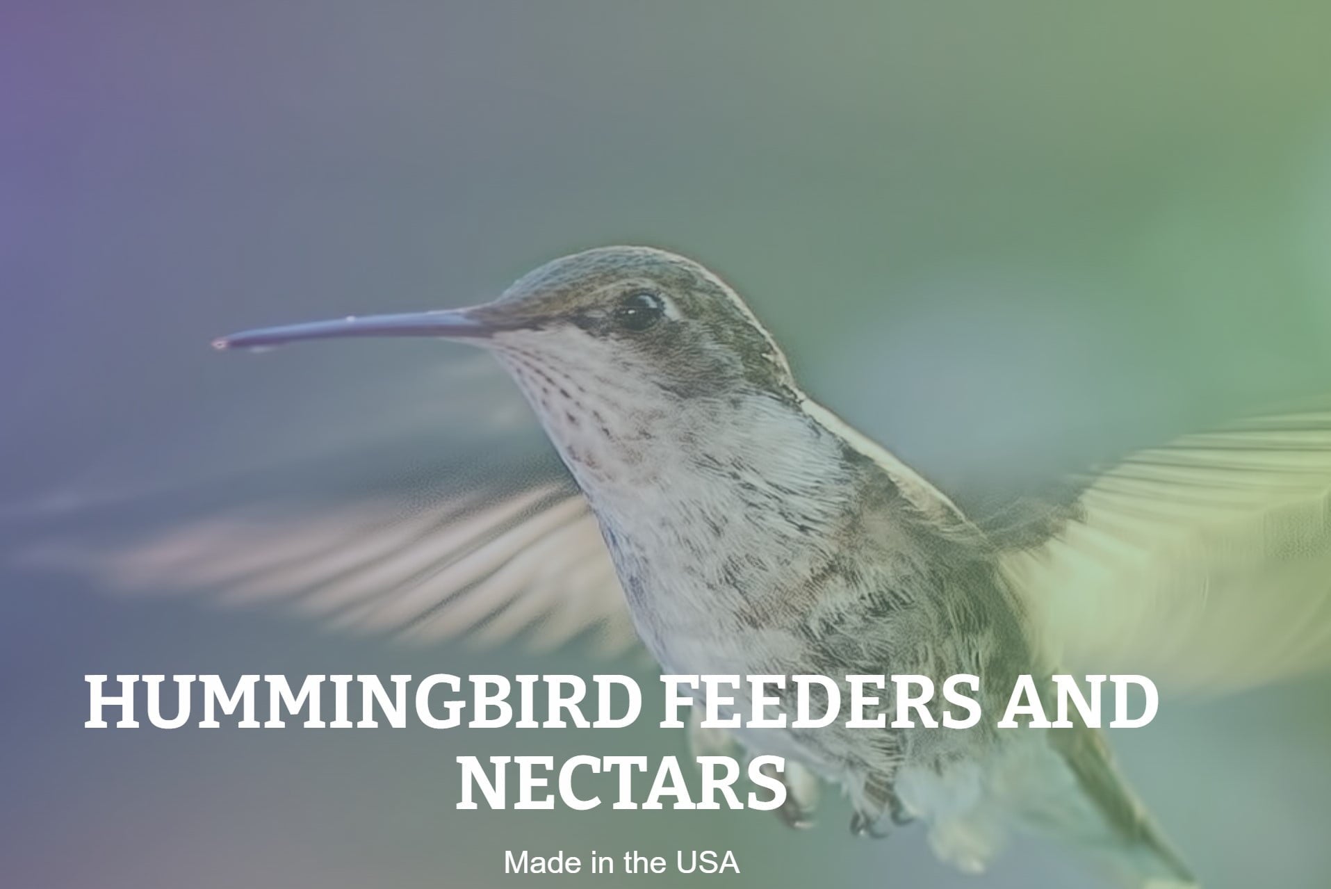 First Nature Hummingbird Feeder, 16 oz, Red