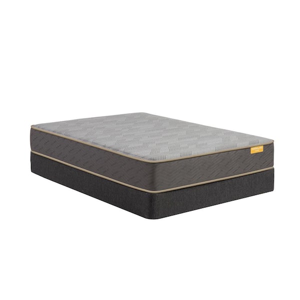 DeepSleep Hybrid Queen Medium 11.5 in. Mattress