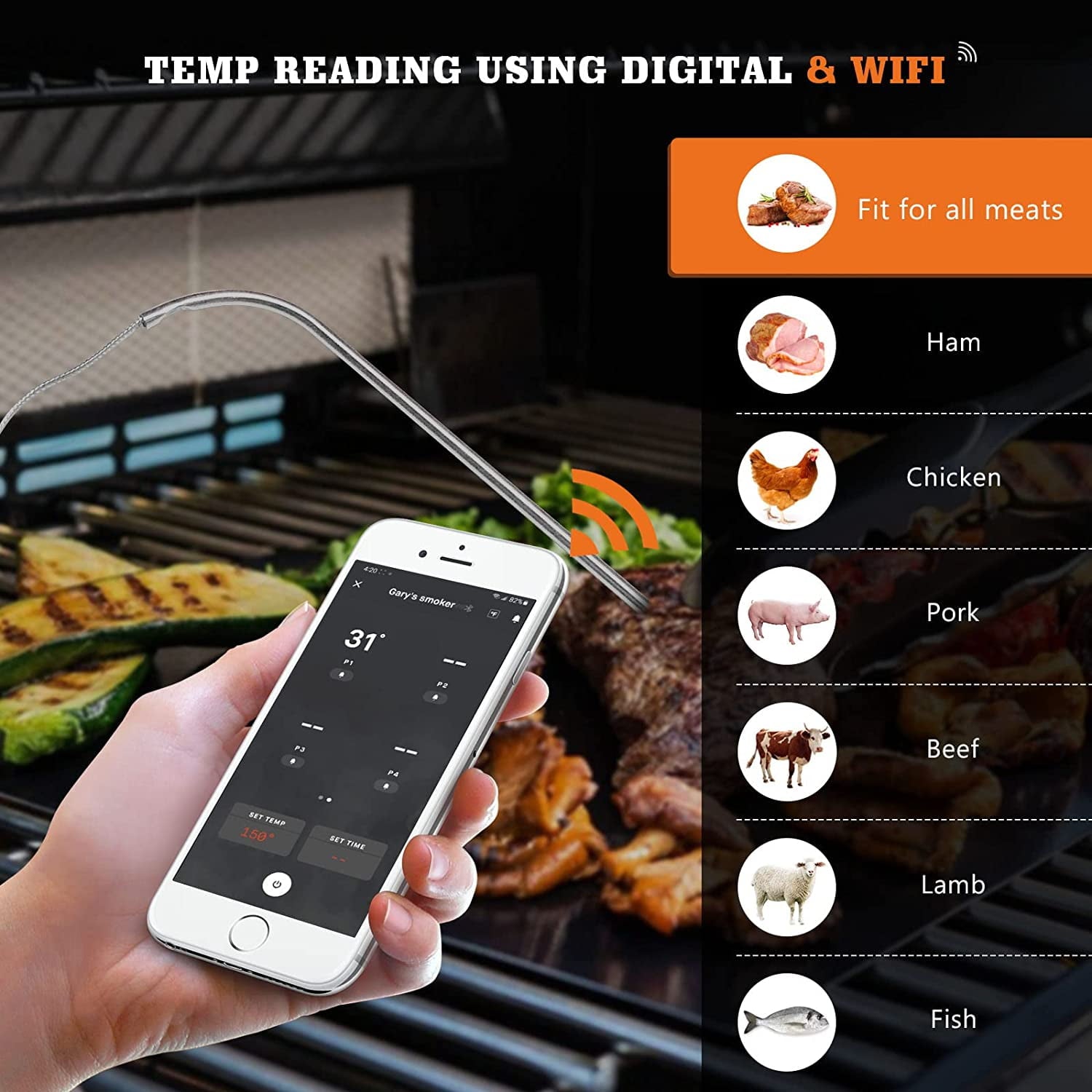 YAOAWE 2-Pack Meat Probe Replacement for Masterbuilt  with Grill Clips, 9004190170 Temperature Probe Compatible with Masterbuilt Gravity Series Digital Charcoal Grill + Smokers