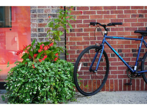 Kent 700c Thruster Fixie Men's Bike, Blue 26.75 inch Wheel Fast Shipping