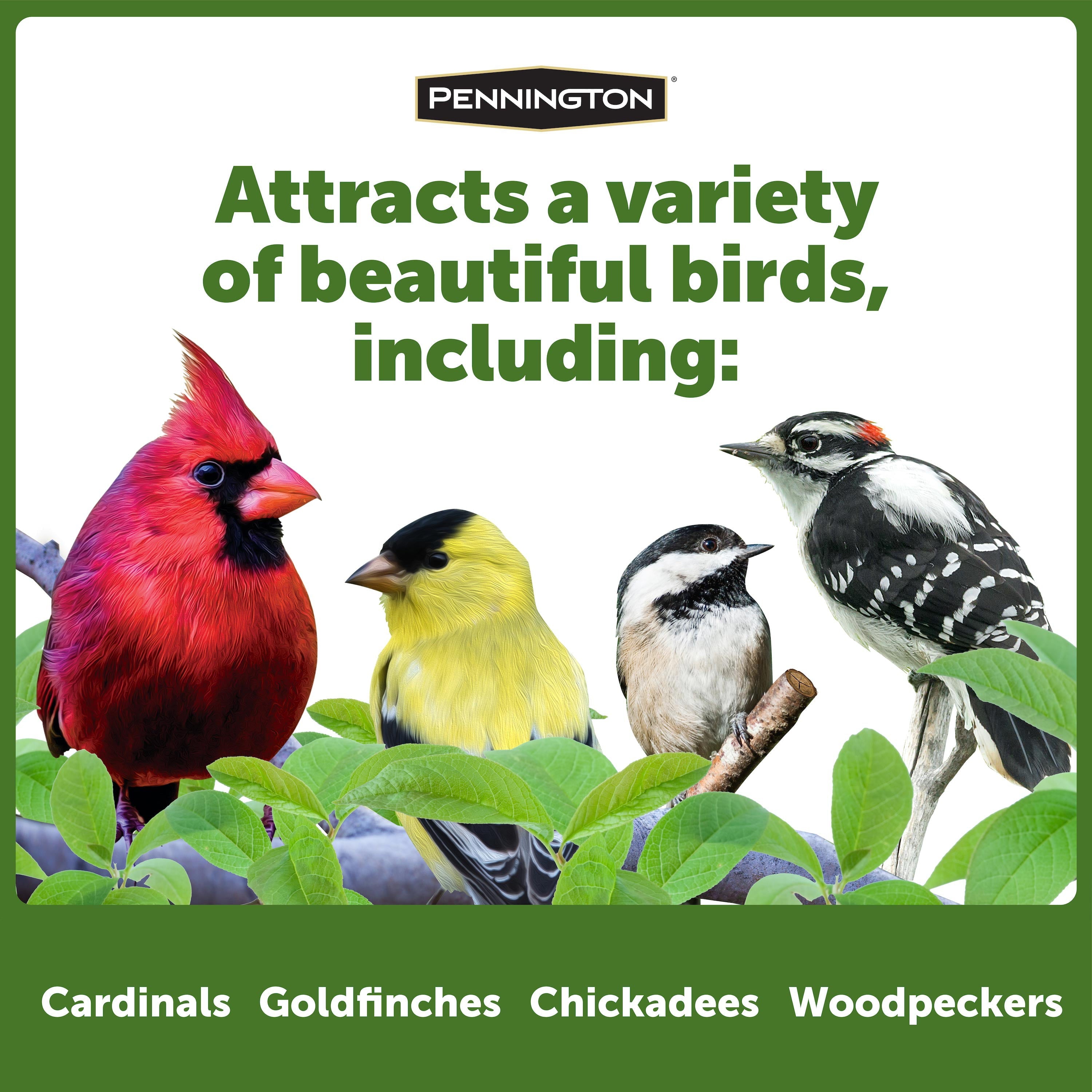 Pennington Red Cedar Snack Shack Wild Bird Feeder, 3.75 lb. Capacity