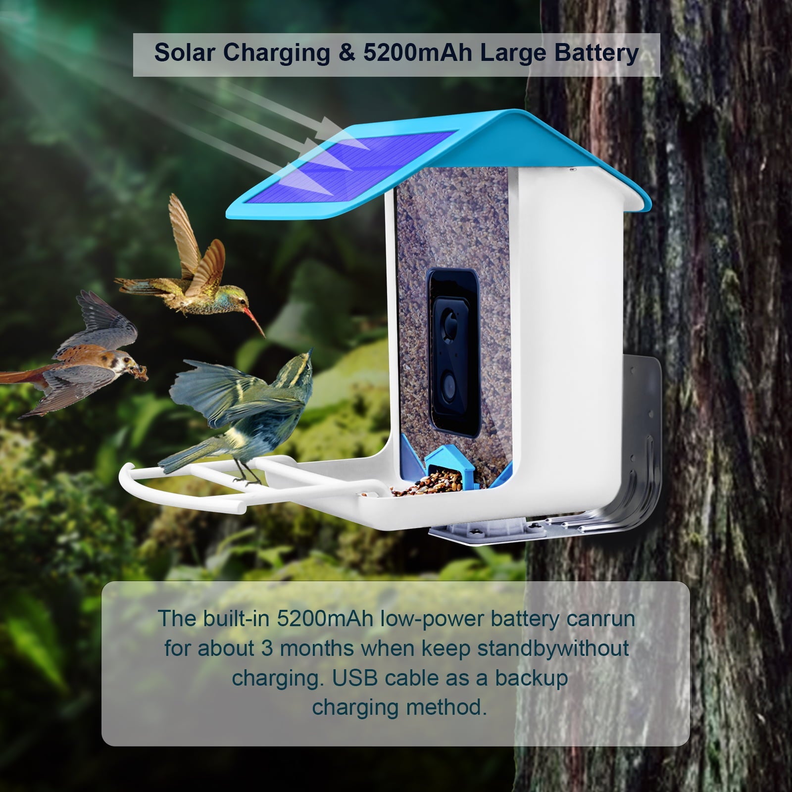 Bird Feeder with Camera,YBLOC Bird House,AI Smart Bird Feeder,Camera 1080P HD Video,AI Identify Bird,Wifi ,Blue