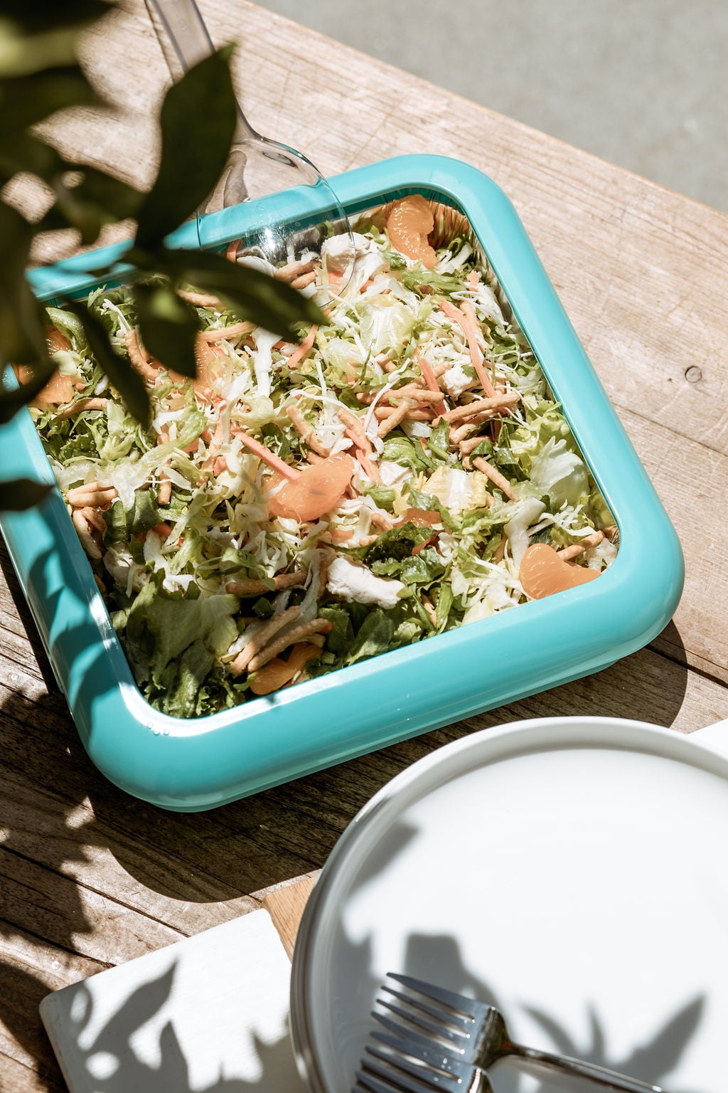 Fancy Panz Plastic 8