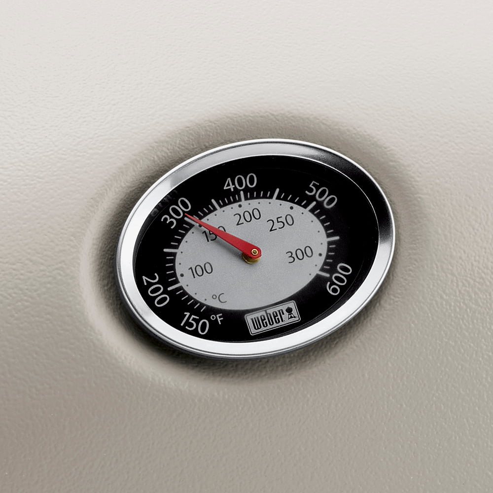 Q 3200 Liquid Propane Gas Grill in Titanium