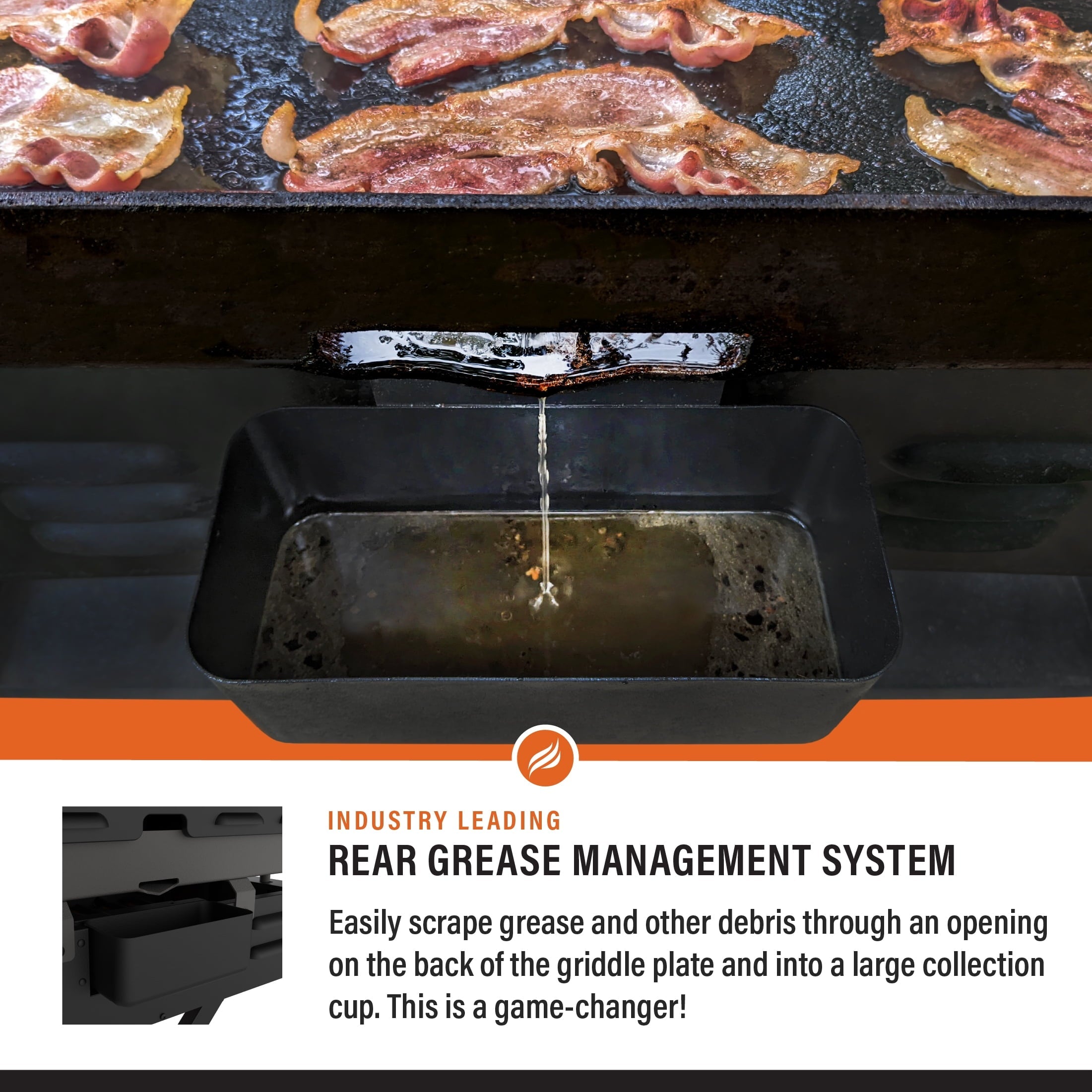 on the Go 2-Burner 22