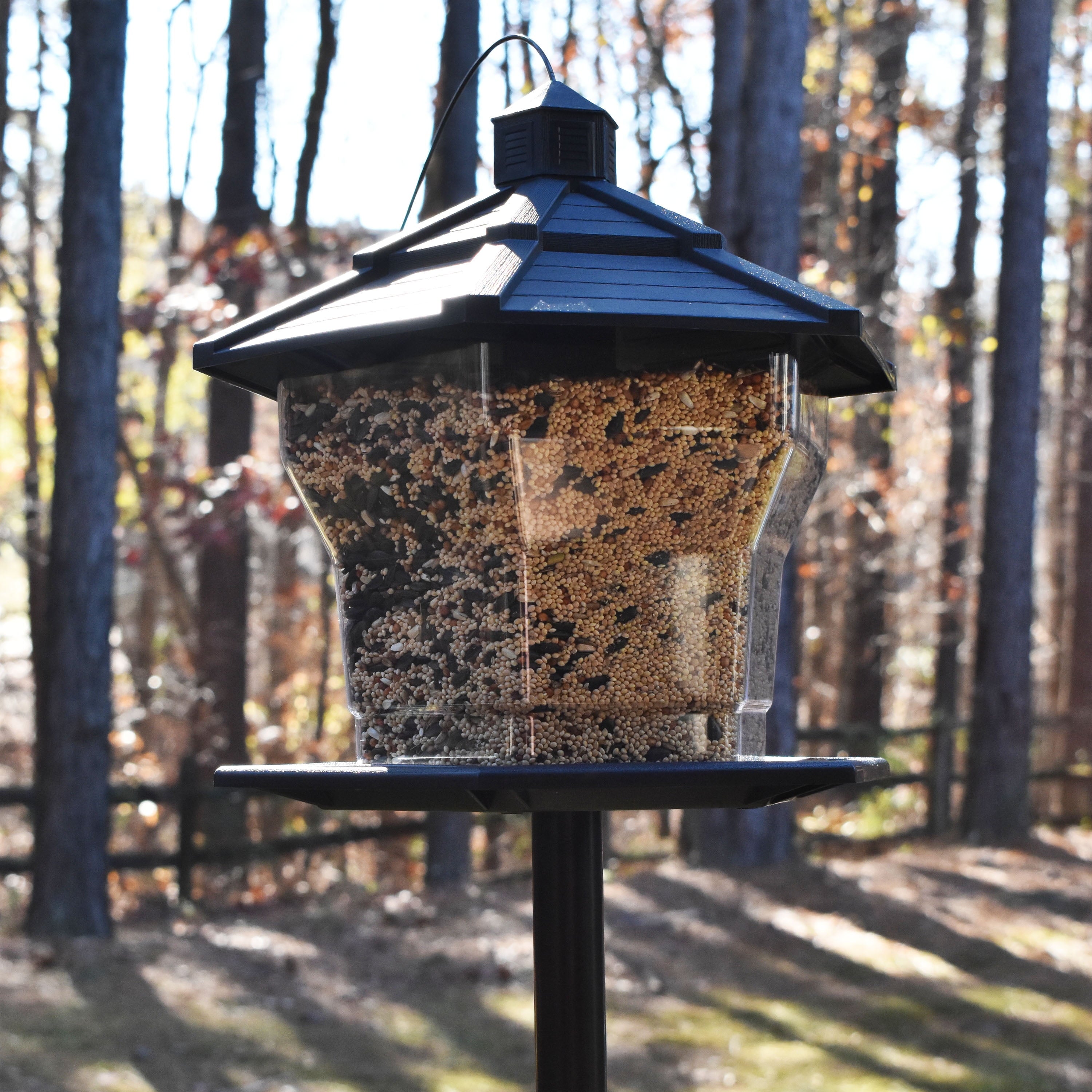 Pennington Black Plastic Hopper Cardinal Wild Bird Feeder, 6 lb. Capacity