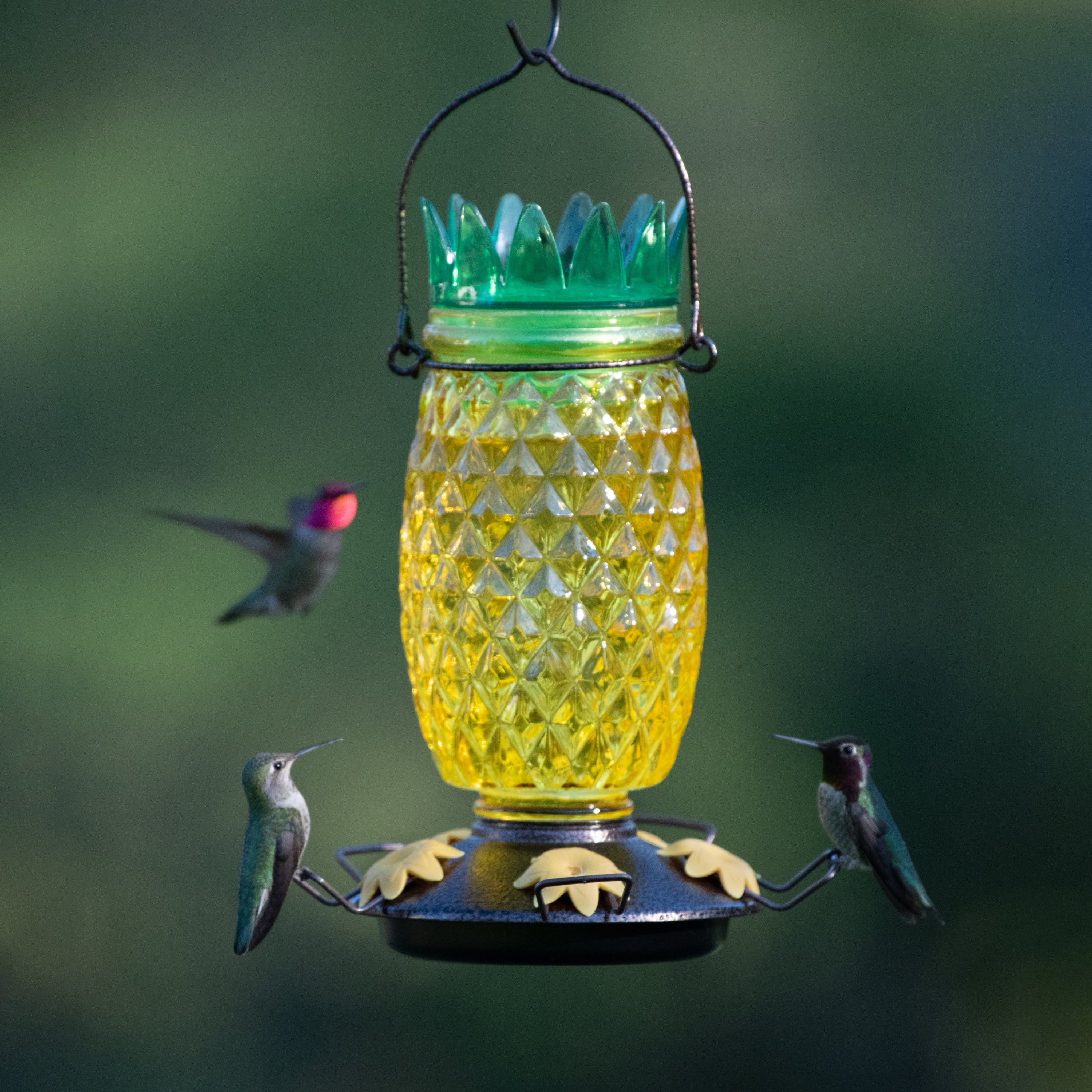 Perky-Pet Yellow Pineapple Top-Fill Glass Hummingbird Feeder – 28 oz