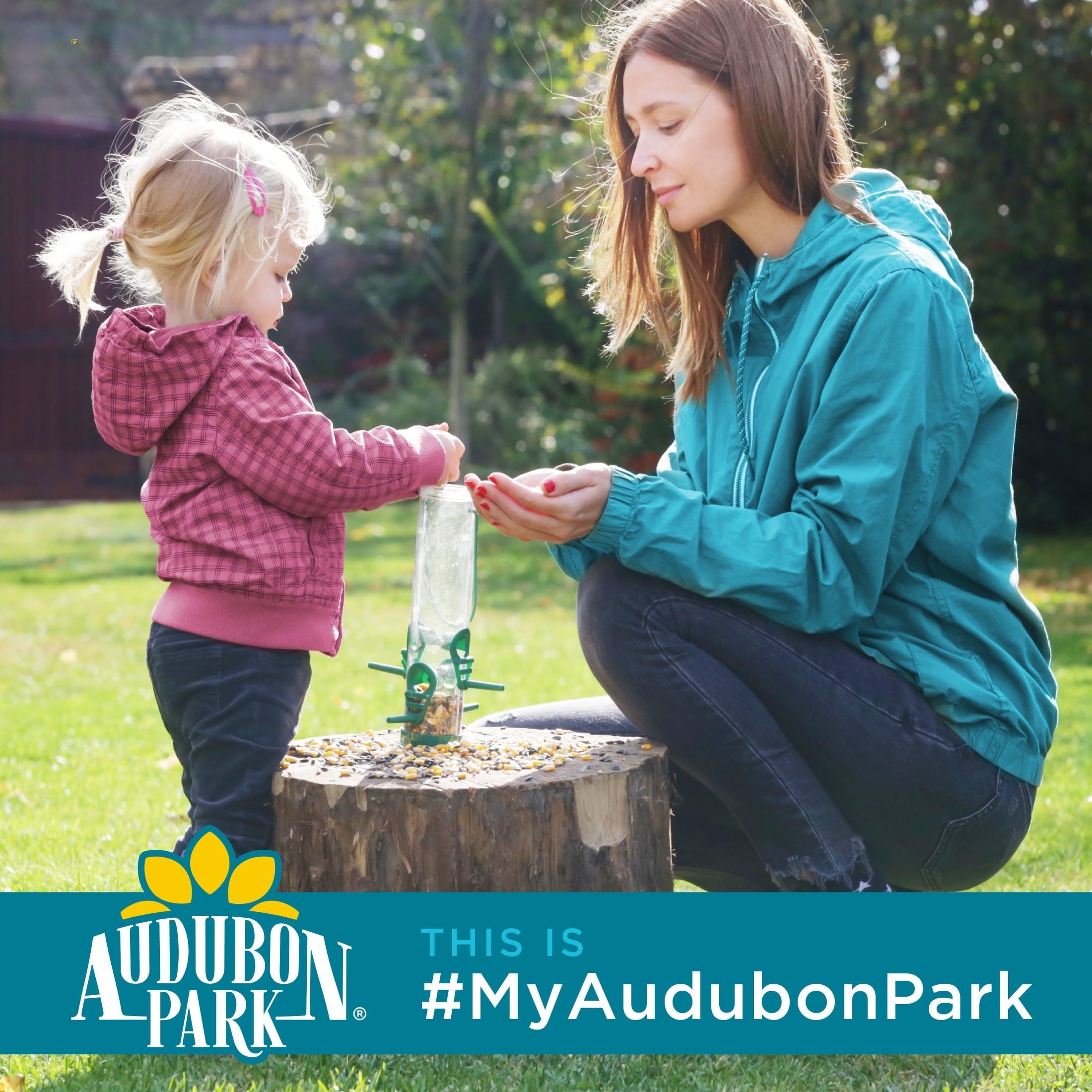 Audubon Park Snack Stack Wild Bird Feeder, Black Weather Resistant Metal