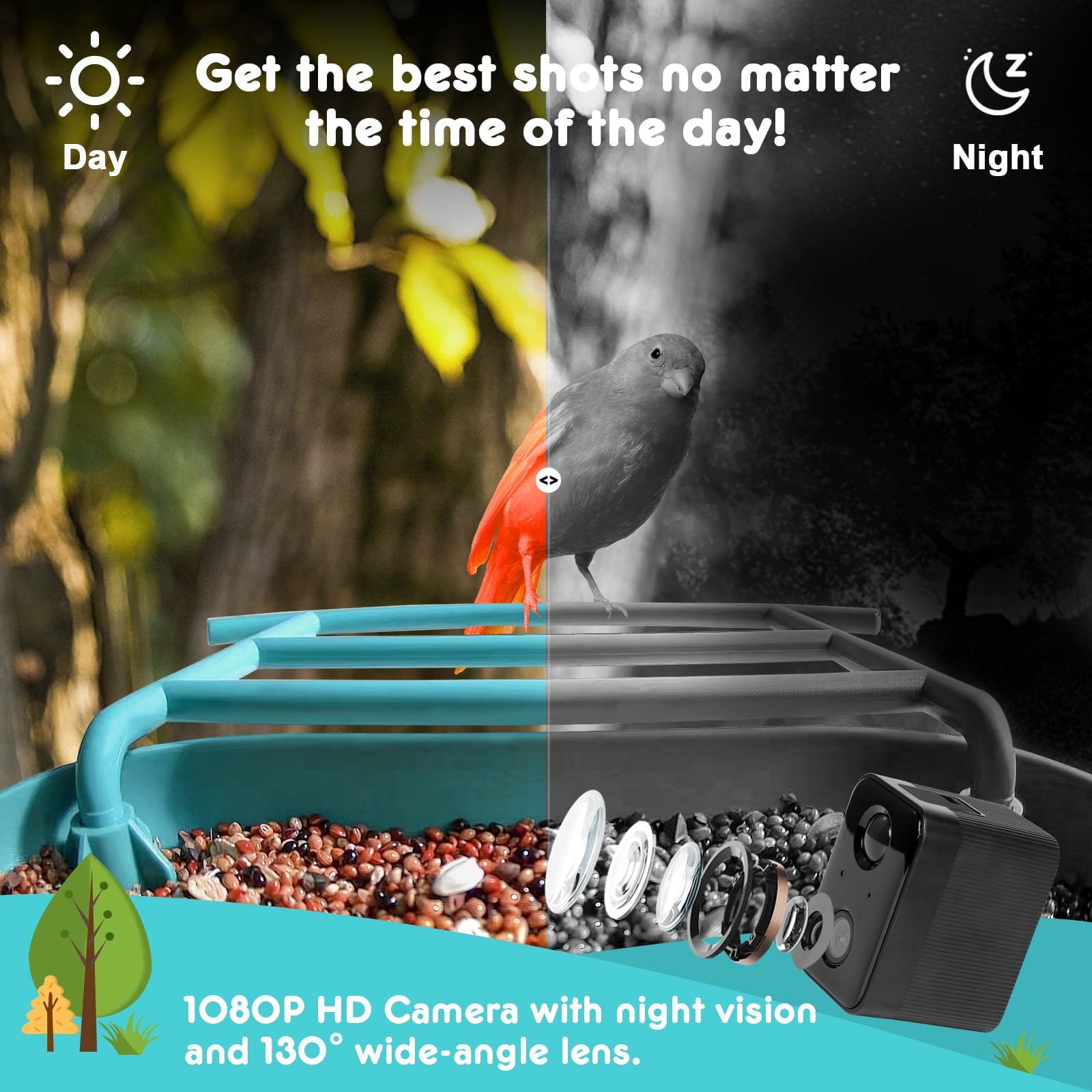 Cuckoo Smart Bird Feeder with Camera, Bird Camera with 1080P HD Video, APP Real-Time Notifications, AI Identify Bird, WiFi Connection & Solar Panel